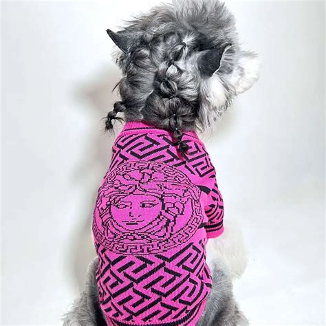 versace dog|versace dog clothes.